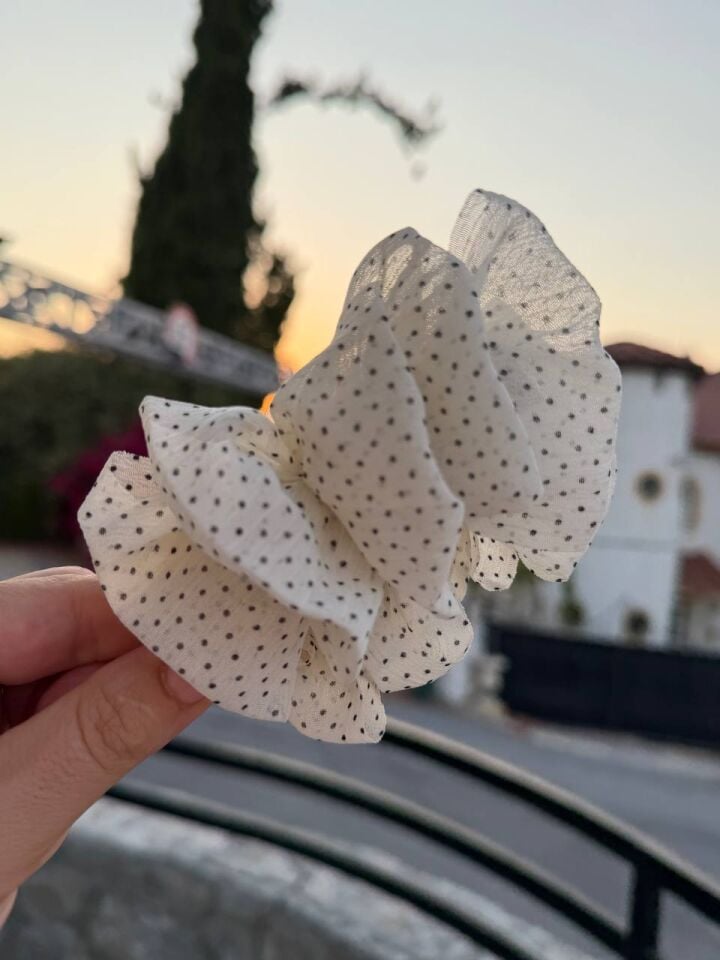 Siyah Puanlı Muz Toka
